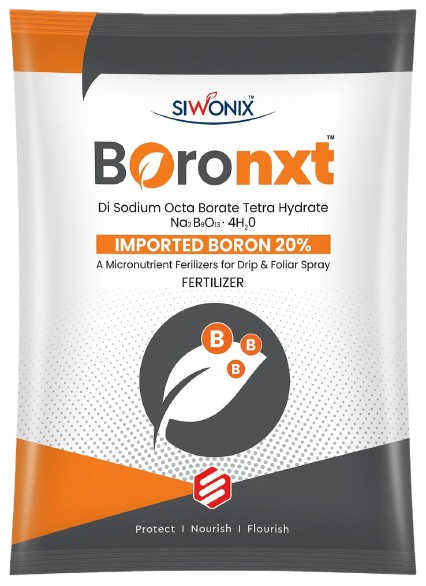 Boronxt