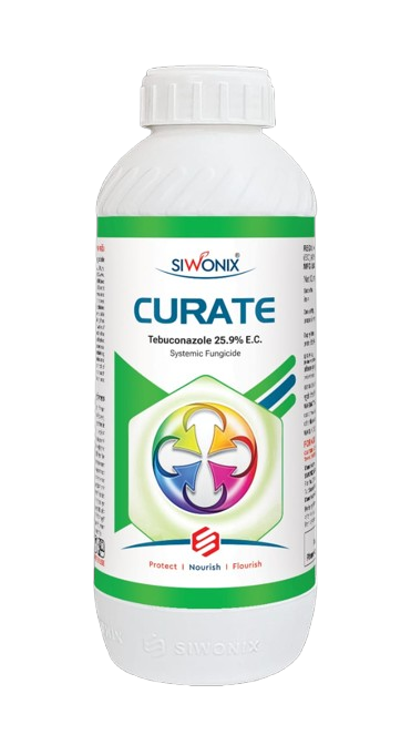 Curate