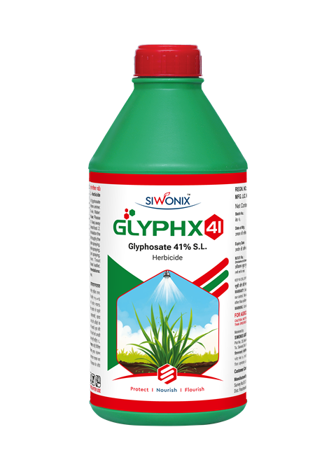 GLYPHX 41 GREEN