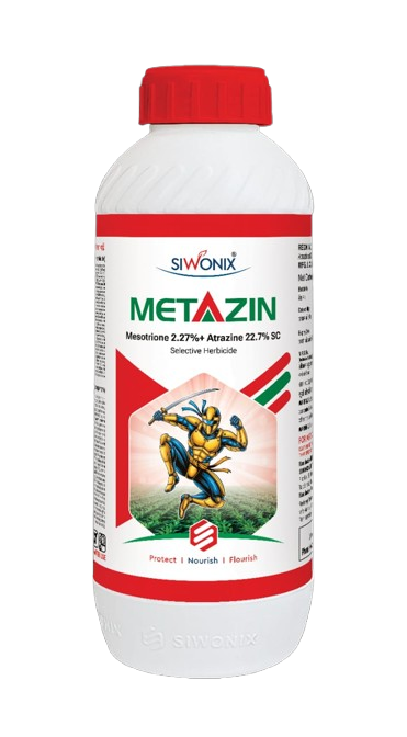 Metazin