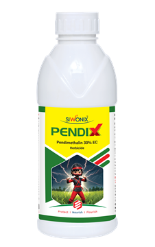 PENDIX