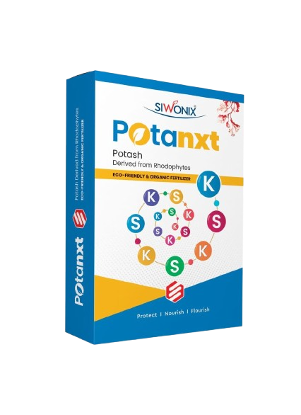 Potanxt