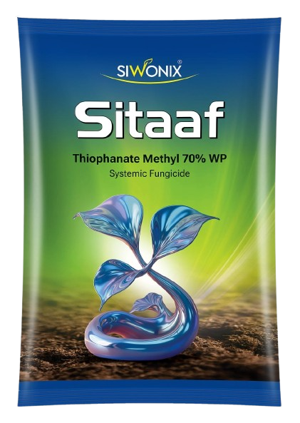 Sitaaf