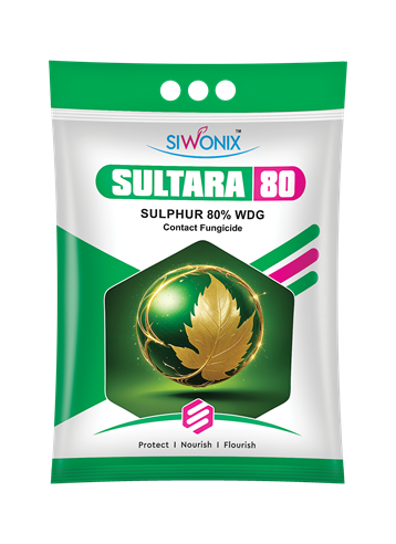 SULTARA 80