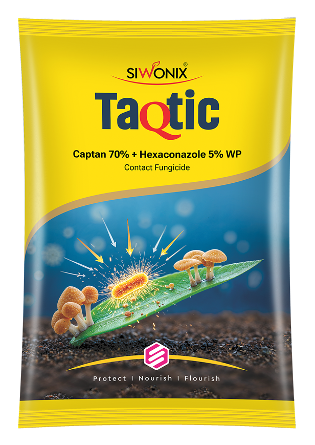 Taqtic