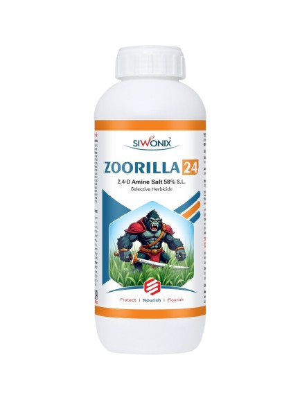 Zoorilla 24