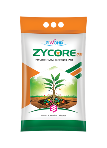 ZYCORE GR