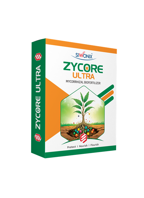 ZYCORE ULTRA